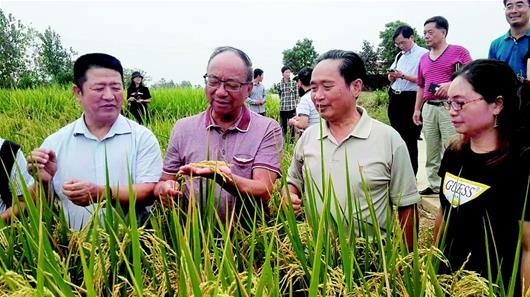 中国·7790必发集团(股份)有限公司-官方网站