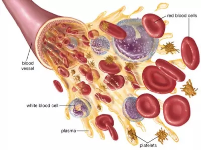 中国·7790必发集团(股份)有限公司-官方网站